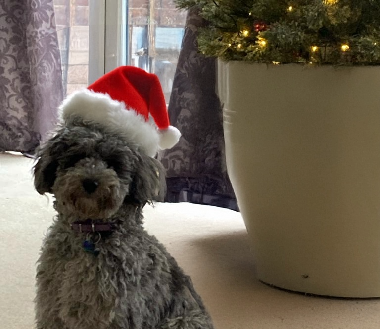 Why Every Small Business Needs a Social Events Policy (Before the Christmas Party Season Hits)